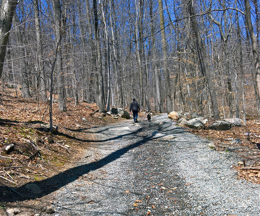 camino_perspective_2